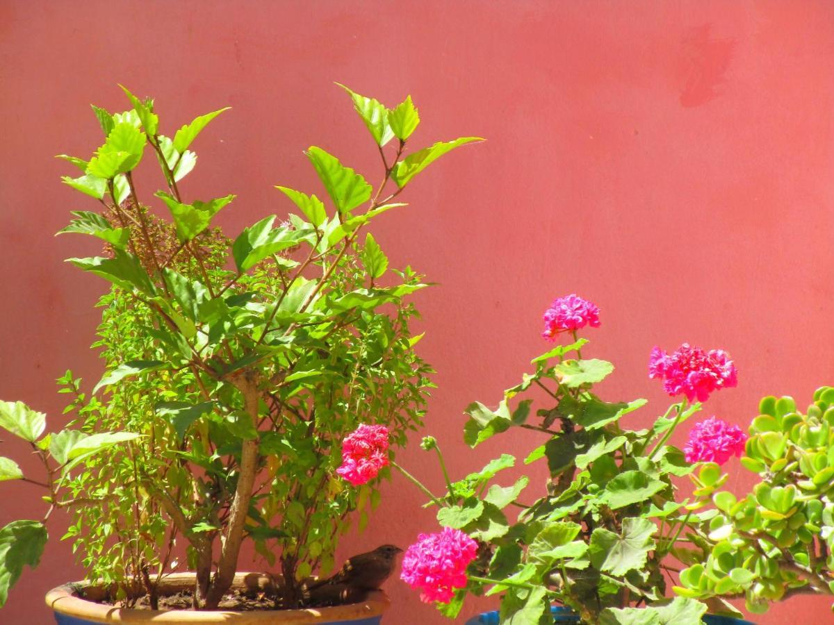 Casa Mogador Essaouira Exterior foto