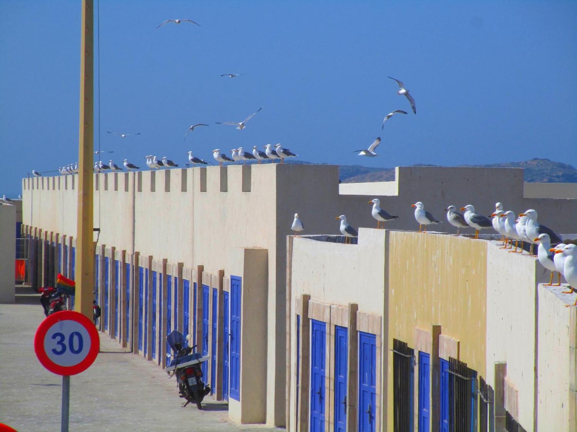 Casa Mogador Essaouira Exterior foto